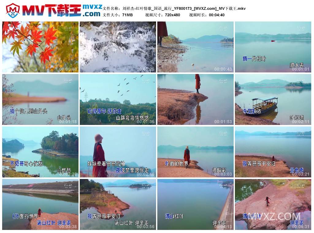 刘祥杰-红叶情歌_国语_流行_YF800173